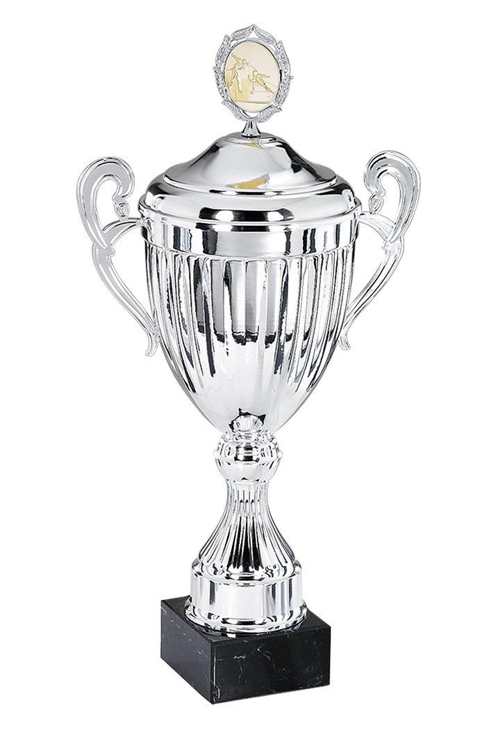 Glaspokale mit Gravur, Glastrophäen, Glasawards, 3D Foto Glasgravur, Pokale:  Andorra Henkelpokal