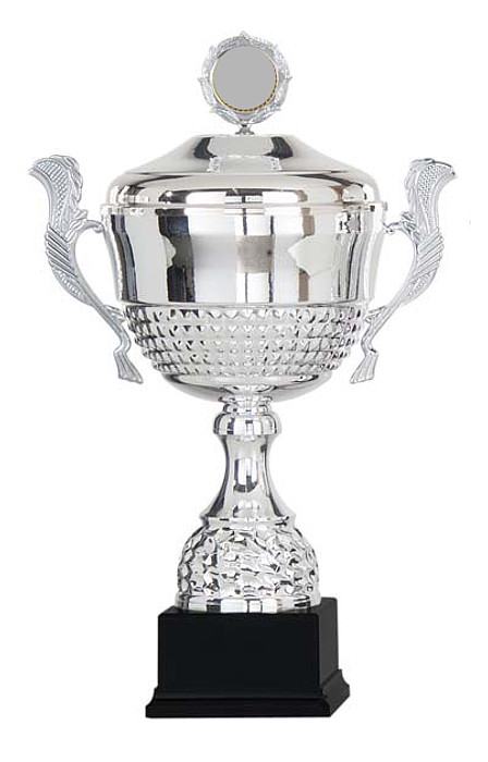 Glaspokale mit Gravur, Glastrophäen, Glasawards, 3D Foto Glasgravur, Pokale:  Haag Henkelpokal
